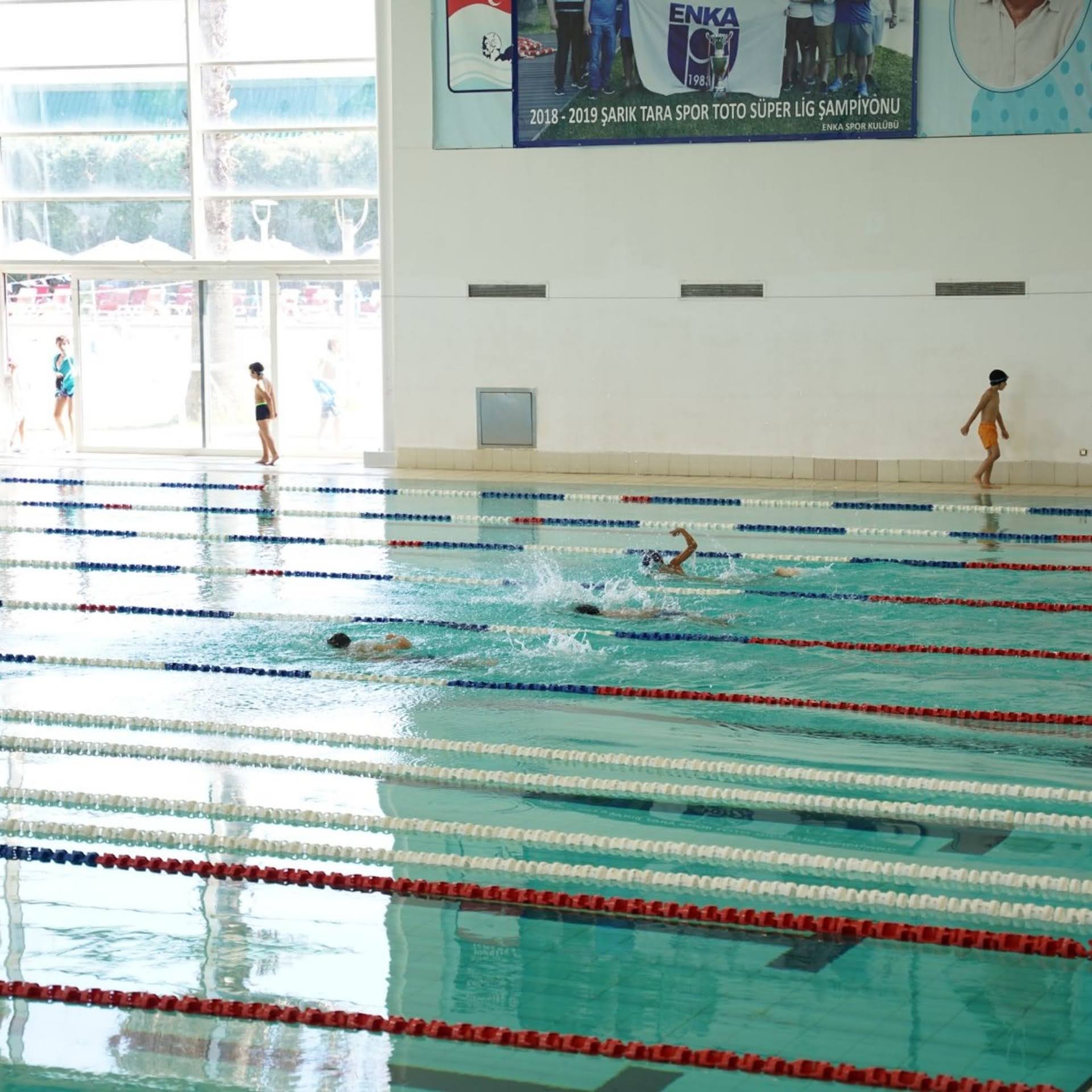 How Long Does It Really Take to Learn to Swim? A Level-by-Level Timeline